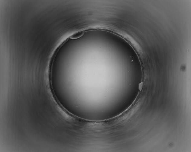 X0000103490902200809121712