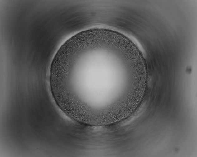 X0000103490903200809121712