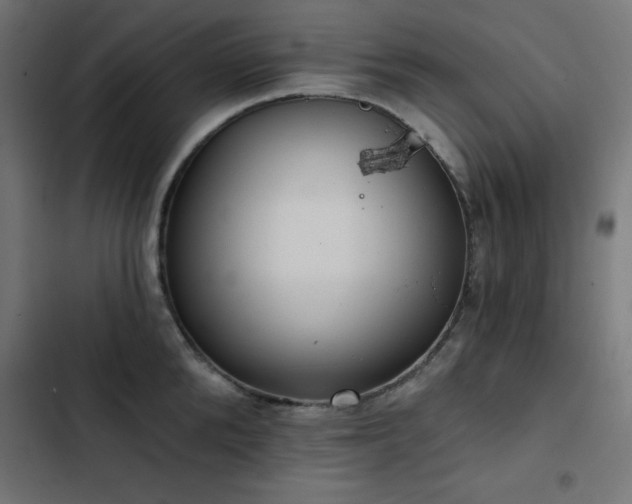 X0000103490904200809121712