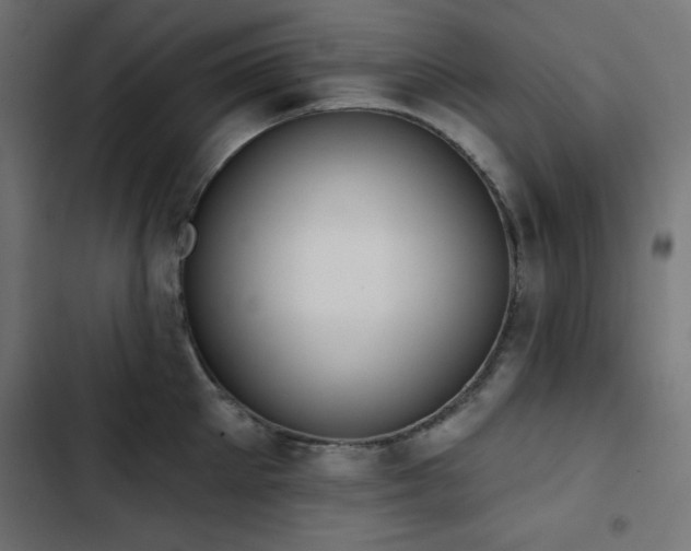 X0000103490905200809121712