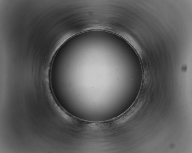 X0000103490906200809121712