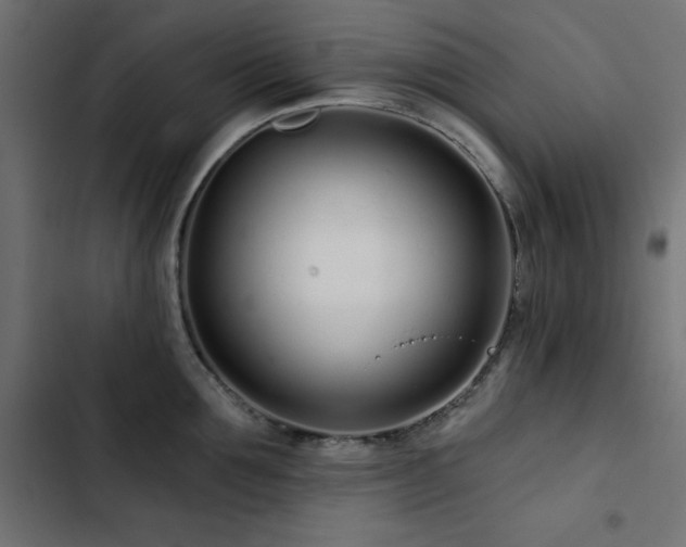 X0000103490907200809121712