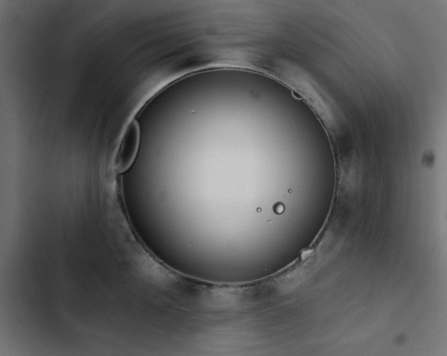 X0000103490908200809121712