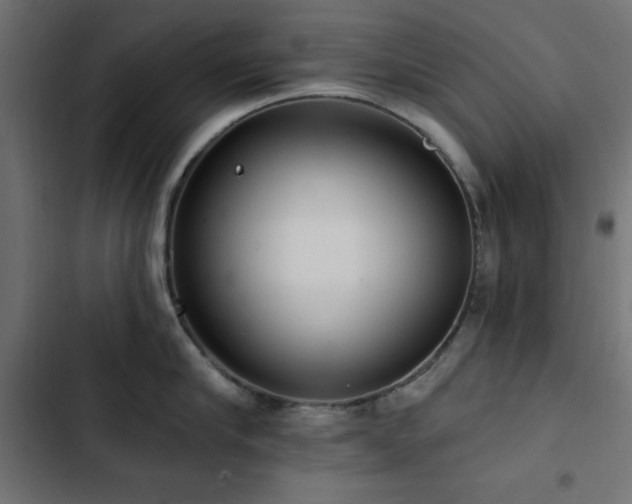 X0000103490910200809121712