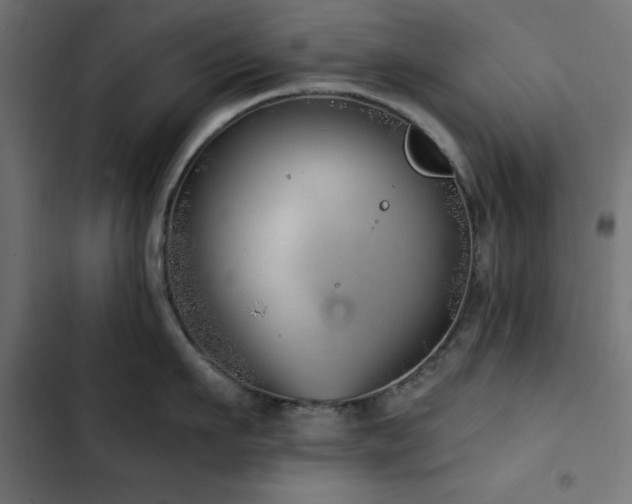 X0000103490911200809121712