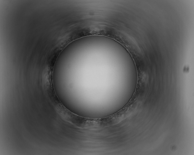 X0000103490914200809121711