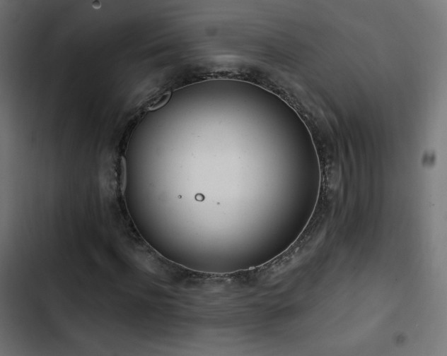 X0000103490916200809121711