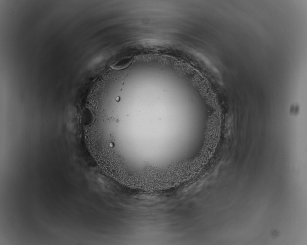 X0000103490917200809121711