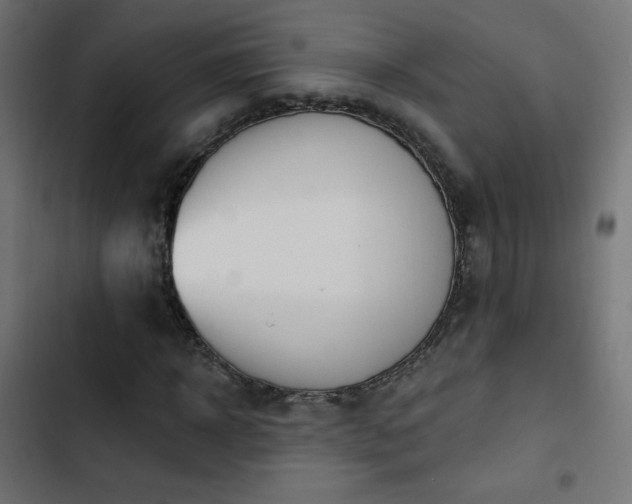 X0000103490918200809121711