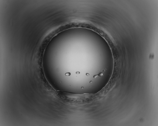 X0000103490919200809121711