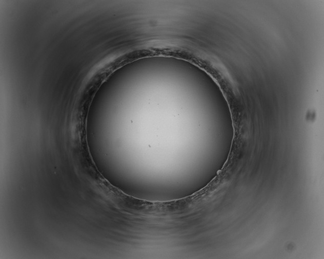 X0000103490920200809121711