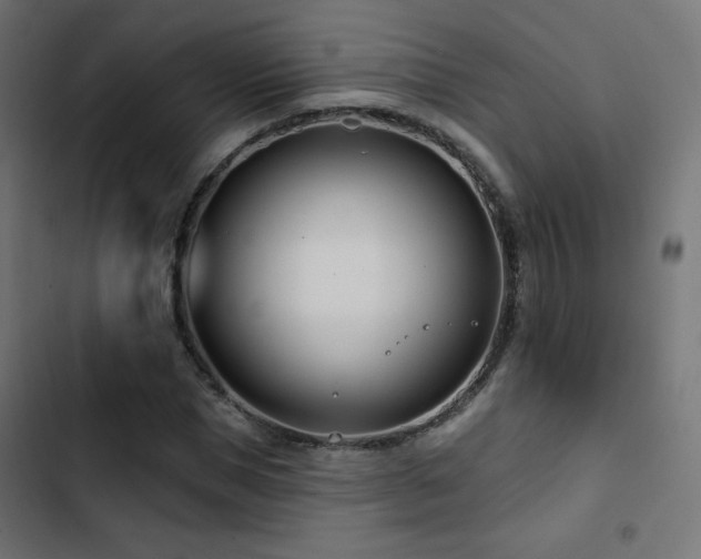 X0000103490921200809121711