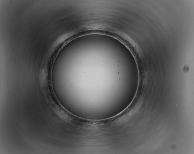 X0000103490922200809121711