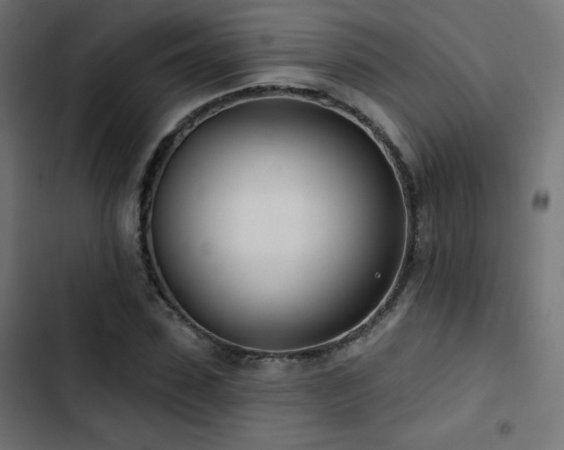 X0000103490923200809121711