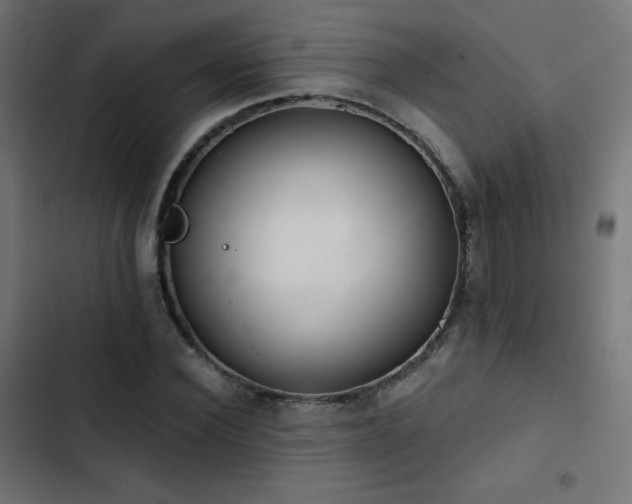 X0000103490924200809121711