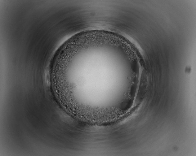 X0000103490925200809121711