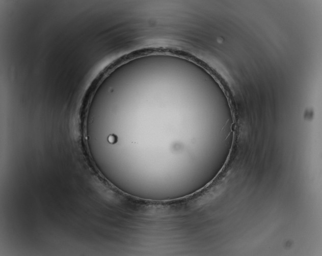 X0000103490927200809121711