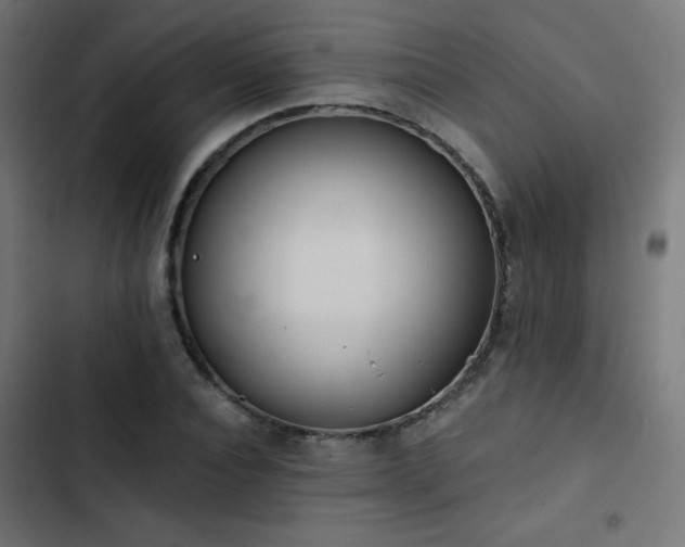 X0000103490928200809121711