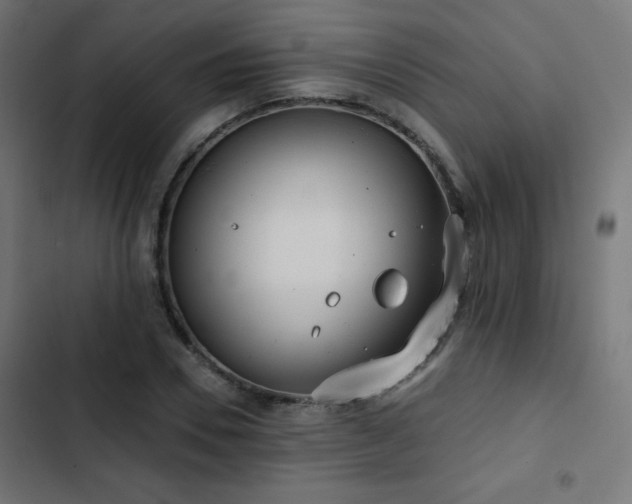 X0000103490930200809121711