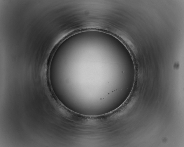 X0000103490933200809121711