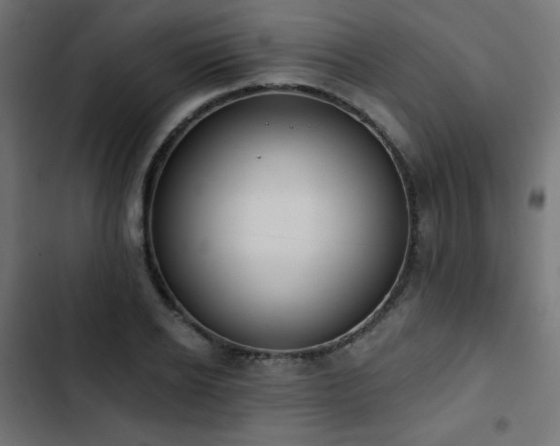 X0000103490934200809121711