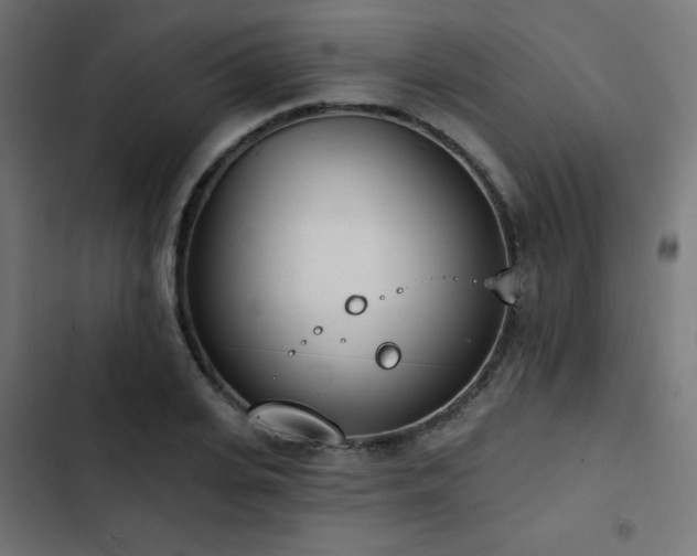 X0000103490935200809121711