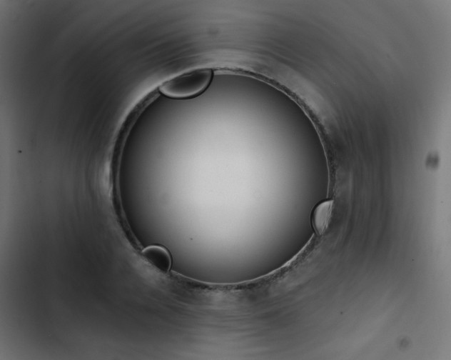 X0000103490936200809121711