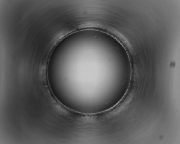 X0000103490937200809121711