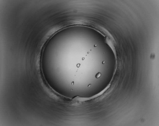 X0000103490938200809121711