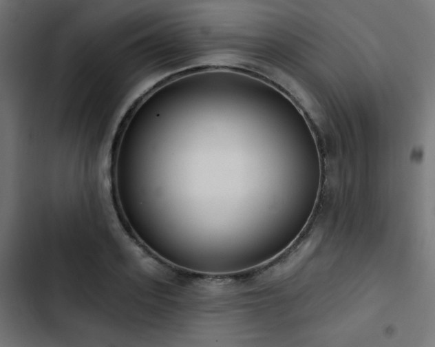 X0000103490939200809121711