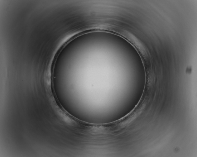 X0000103490940200809121711