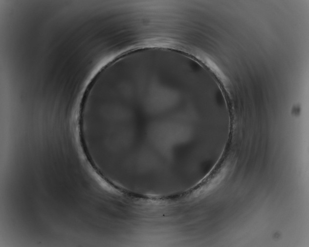 X0000103490941200809121711