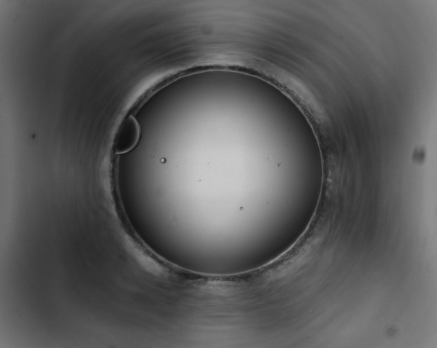 X0000103490942200809121711