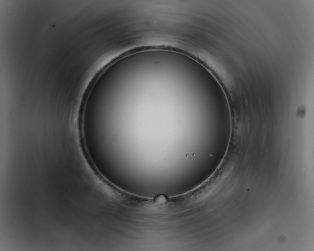 X0000103490943200809121711