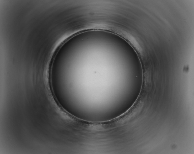 X0000103490944200809121711