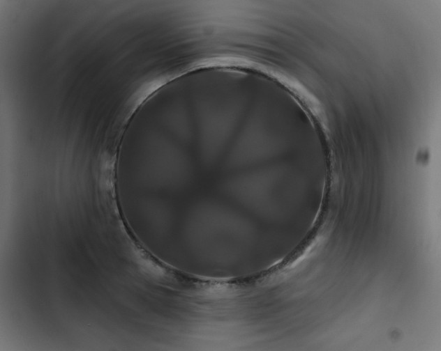 X0000103490945200809121711