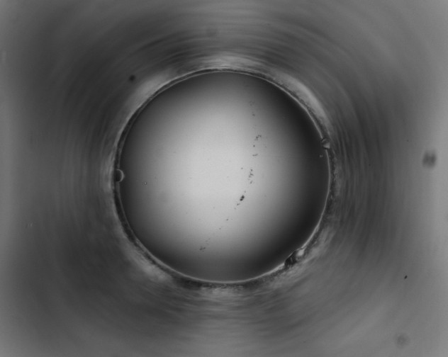 X0000103490946200809121711