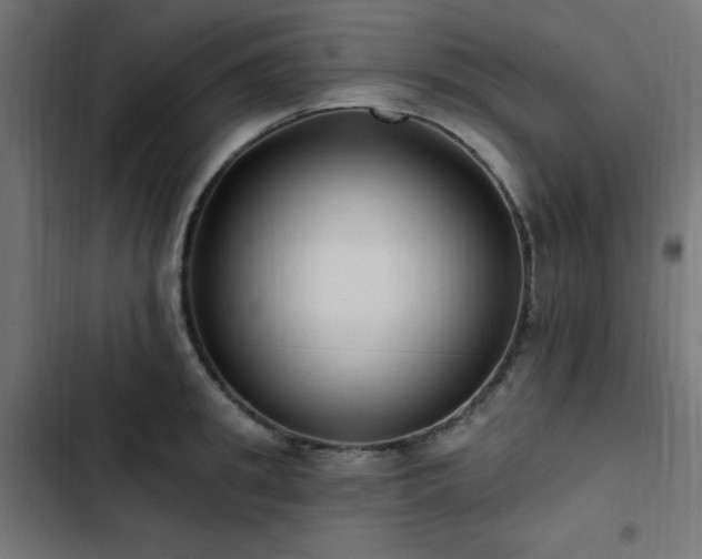 X0000103490949200809121711