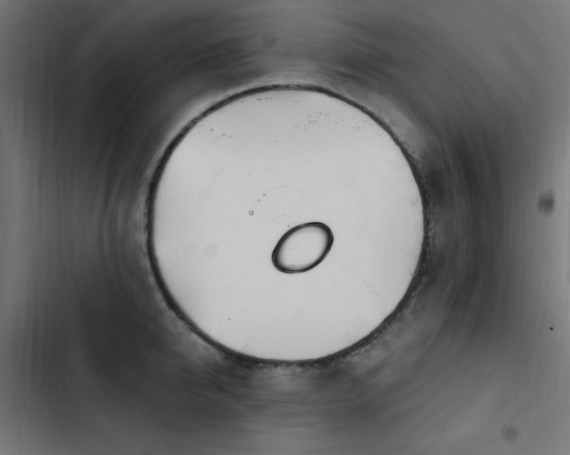 X0000103490950200809121711