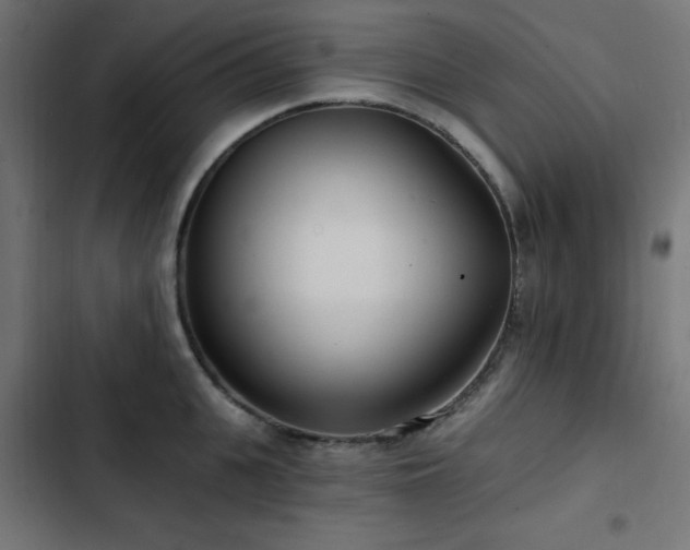 X0000103490951200809121711