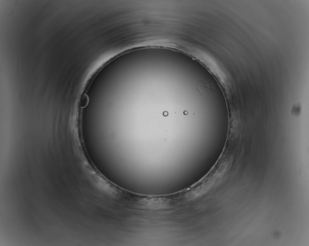 X0000103490952200809121711