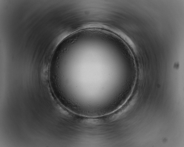 X0000103490953200809121711