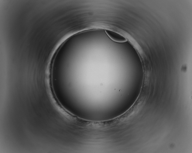 X0000103490955200809121711