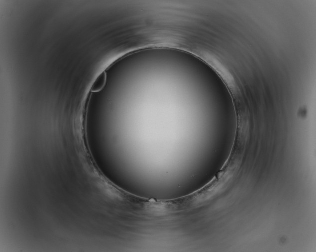 X0000103490956200809121711