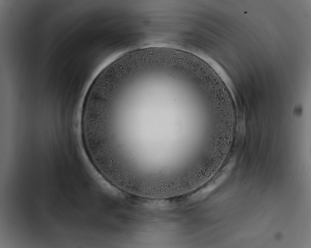 X0000103490957200809121711