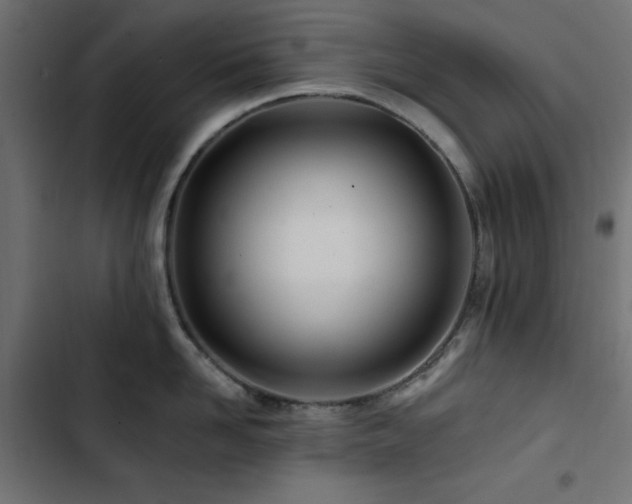 X0000103490958200809121711