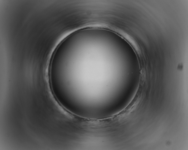 X0000103490959200809121712