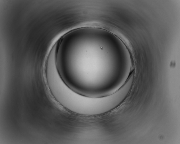 X0000103490960200809121712