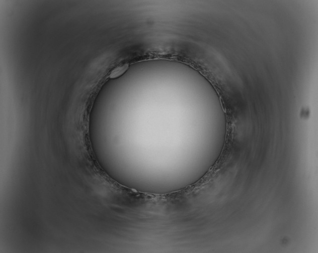 X0000103490961200809121711