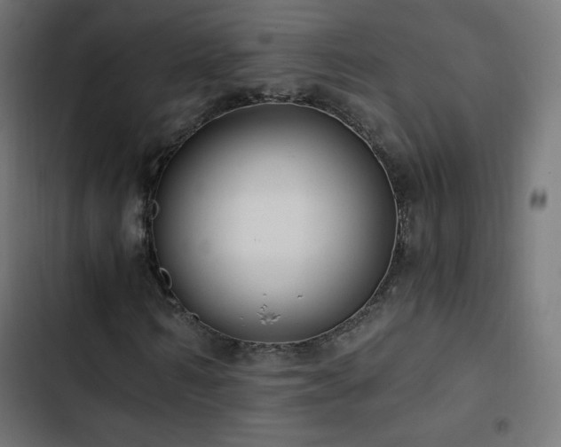 X0000103490962200809121711